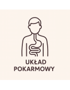 Układ pokarmowy